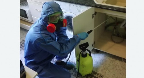 Уничтожение муравьев в квартире. Хатунь