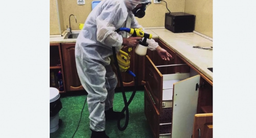 Уничтожение насекомых в квартире. Хатунь