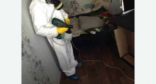 Обработка квартир от насекомых в Хатуни