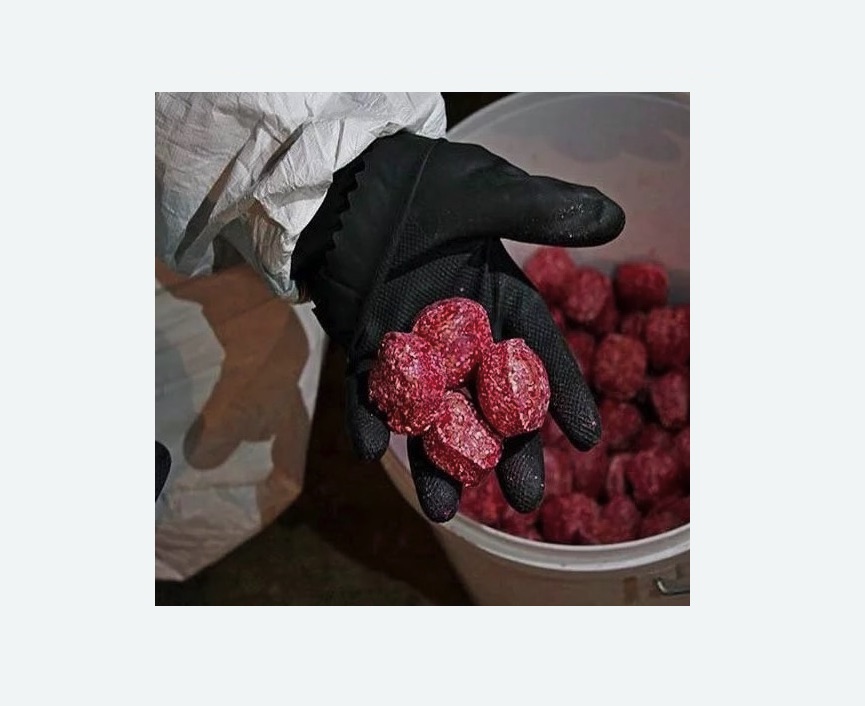 Обработка от крыс в Хатуни