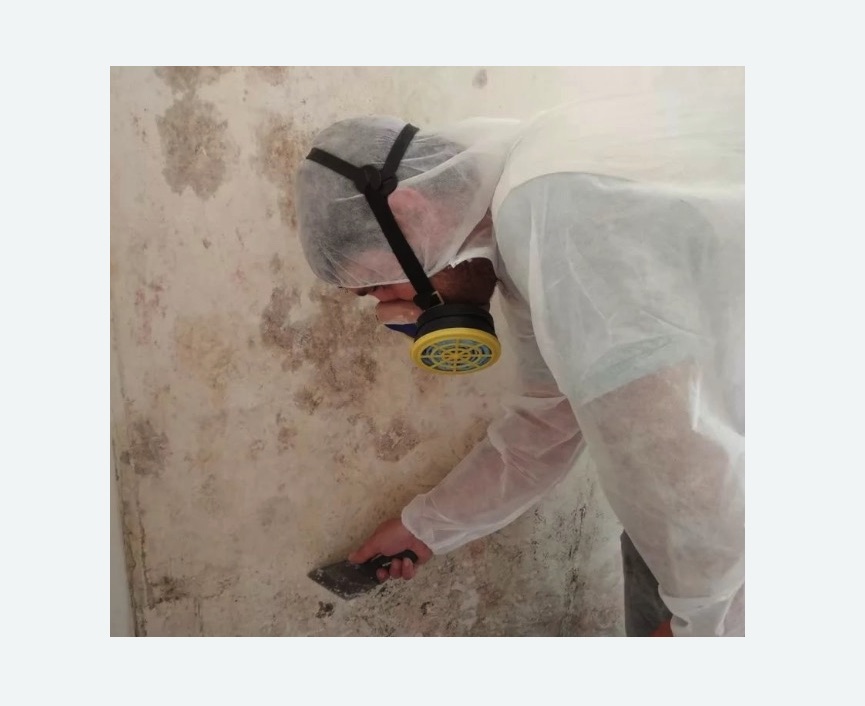 Обработка стен от плесени в Хатуни