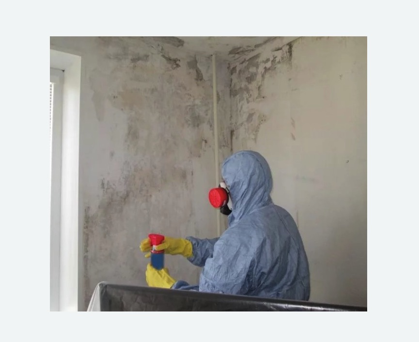 Удаление плесени в квартире в Хатуни