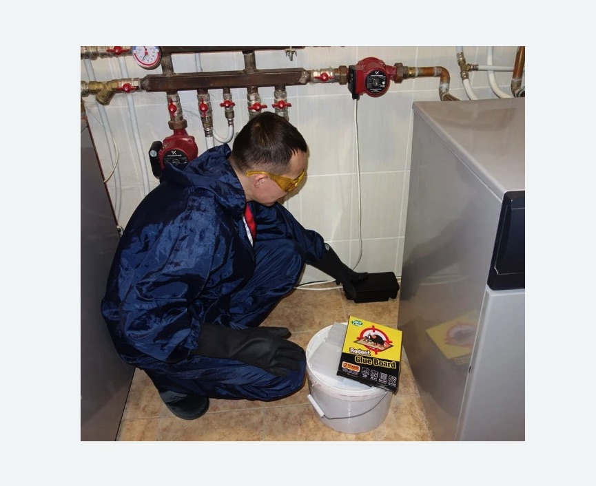 Уничтожение крыс в Хатуни