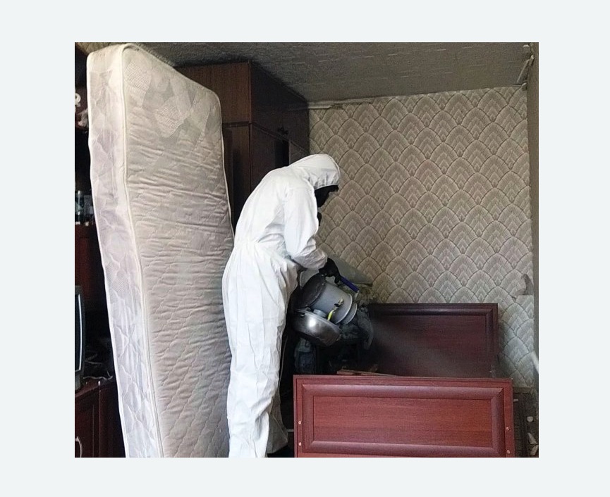 дезинфекция от клопов в Хатуни