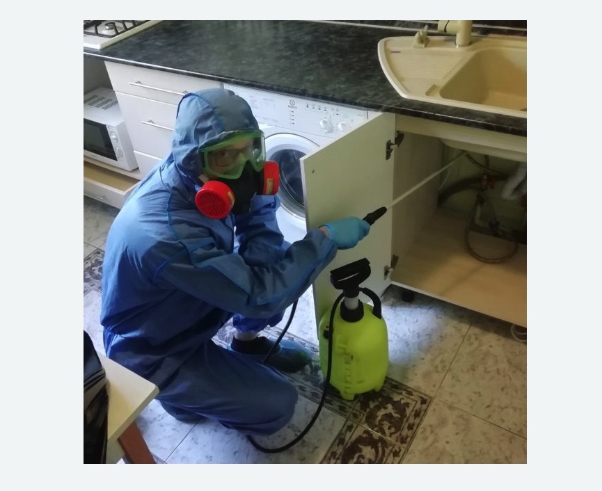 обработка от муравьев в квартире в Хатуни