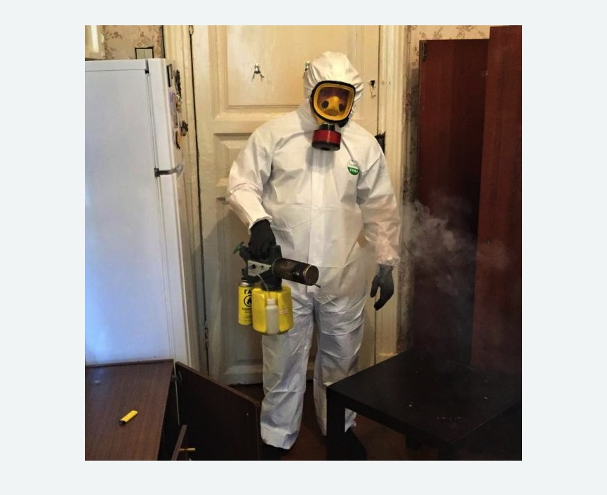 уничтожение муравьев в квартире в Хатуни